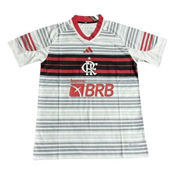 #Special Edition Flamengo 2023-24 Grey Soccer Jerseys Men's