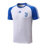 Juventus 2021-22 White - Blue Soccer Training Jerseys Men's