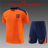 Netherlands 2023-24 Orange Soccer Jerseys + Short Kid's