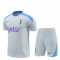 Tottenham Hotspur 2024-25 Light Grey Soccer Jerseys + Short Men's