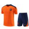 Netherlands 2024 Orange Soccer Jerseys + Short Men's