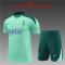 Tottenham Hotspur 2024-25 Light Green Soccer Jerseys + Short Kid's