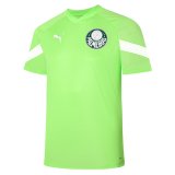 Palmeiras 2023-24 Green Soccer Training Jerseys Men's
