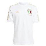 #Special Edition Italy 2023 125th Anniversary Soccer Jerseys Men's